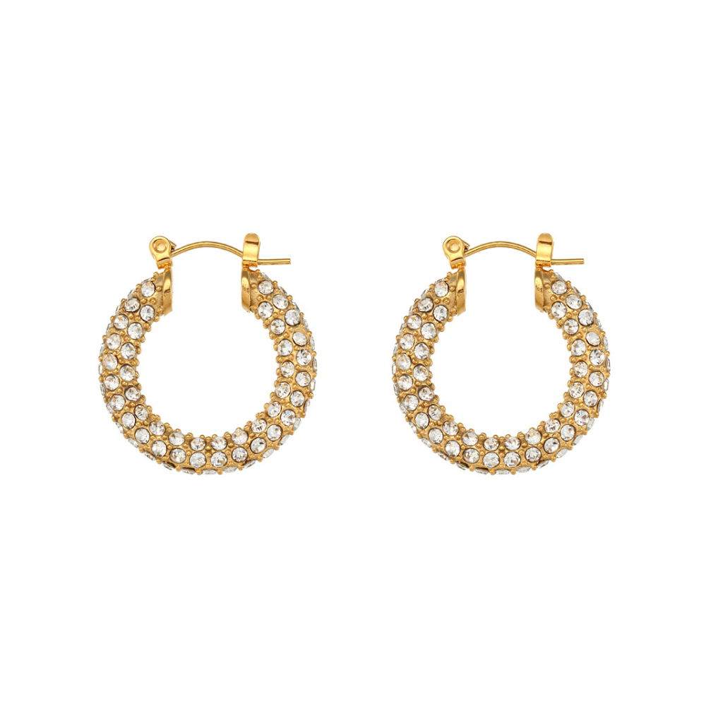 Embellished White Diamonds & Gold Plated Hoop Earrings Plain Background by The Happiness Store