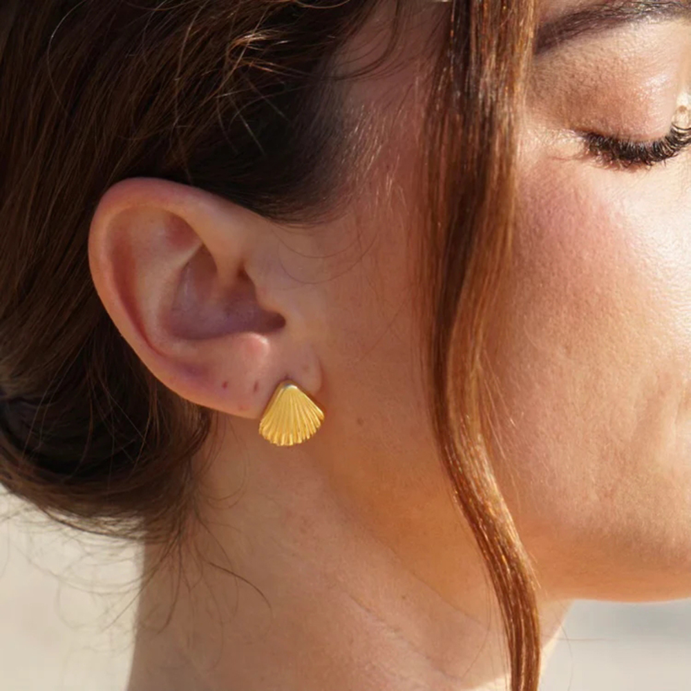 Golden Seashell Stud Earrings