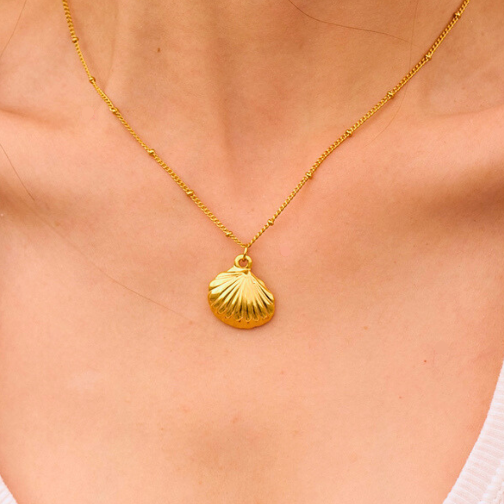 Sea Shell Pendant and chain