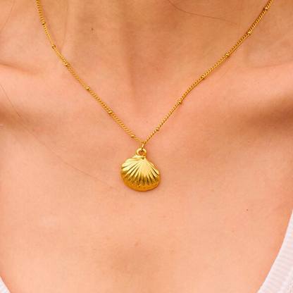 Sea Shell Pendant and chain