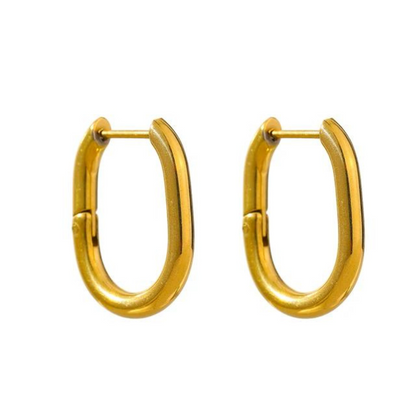 Gold / Silver Oval Hoops